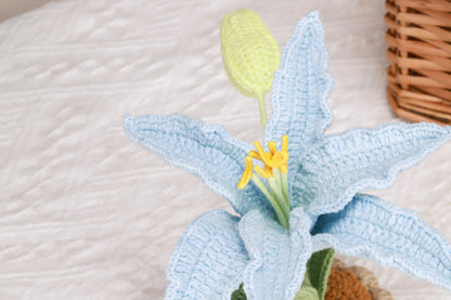 blue lily