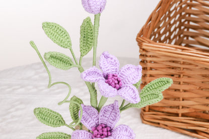 purple clematis