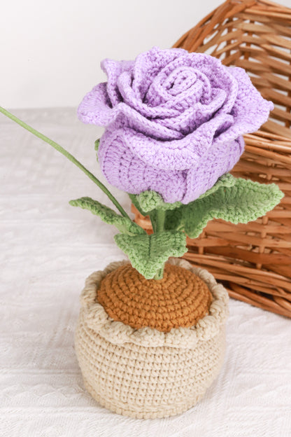 purple Thai rose