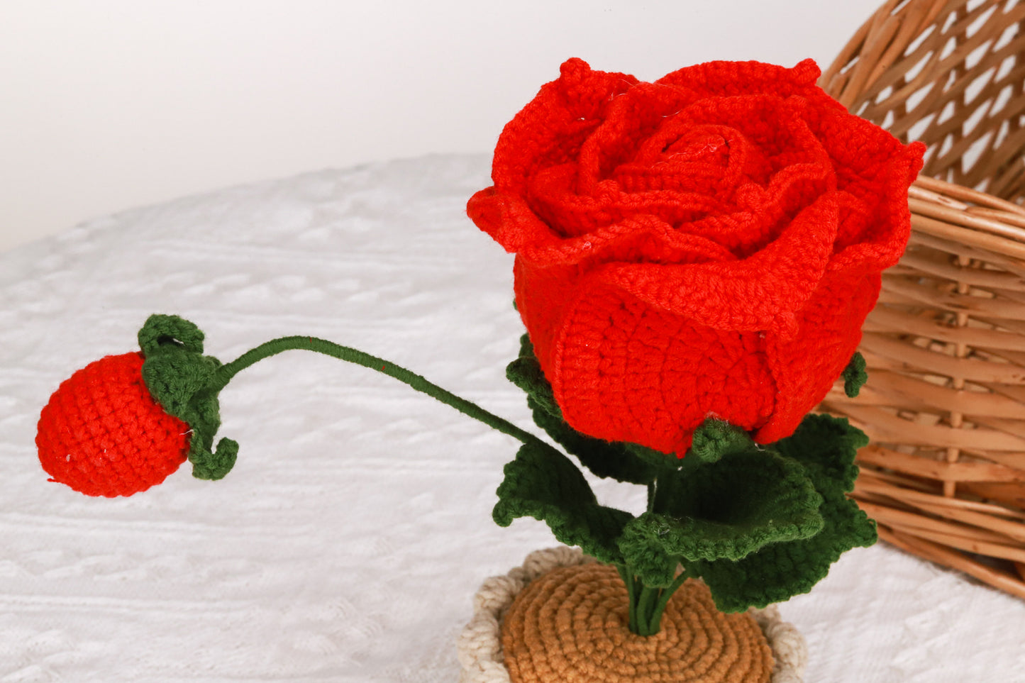 red Thai rose