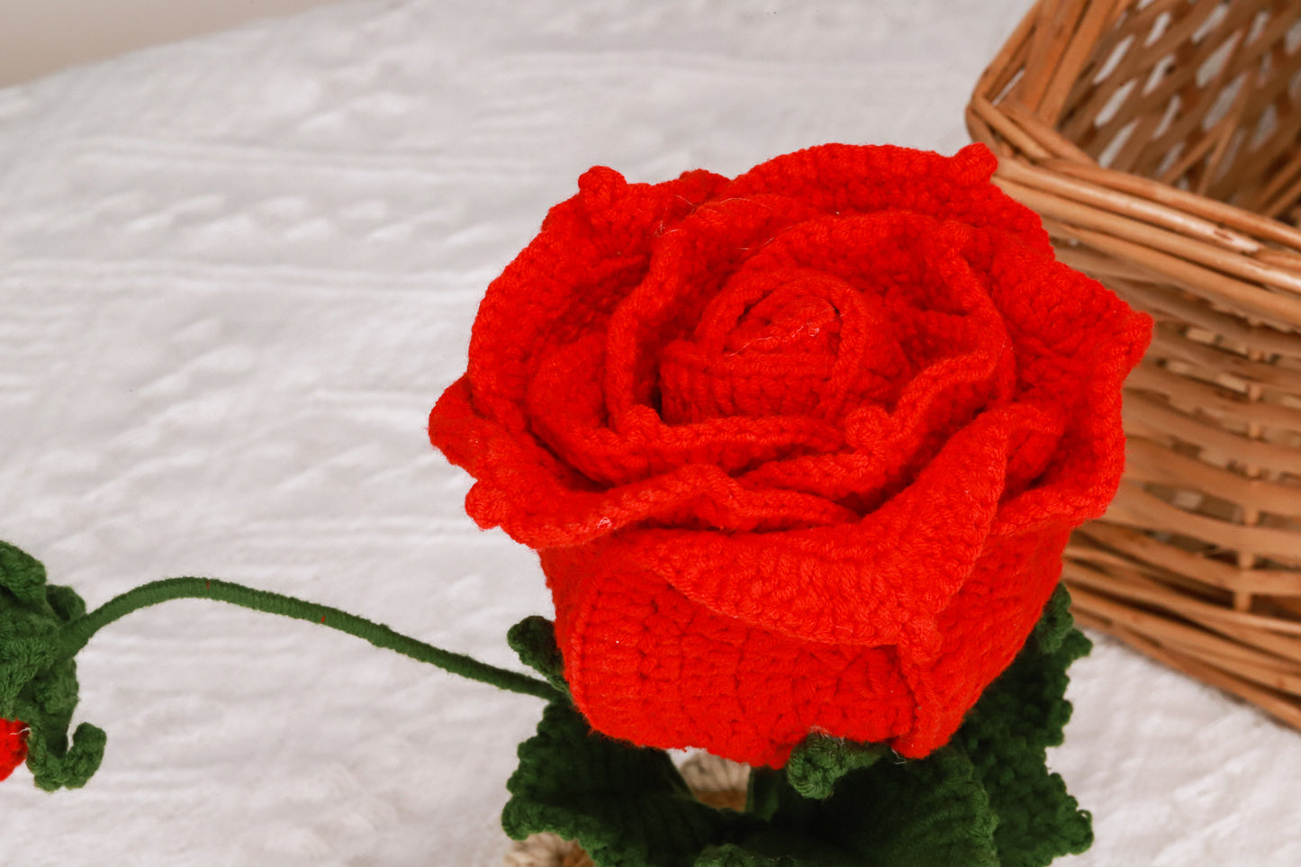red Thai rose