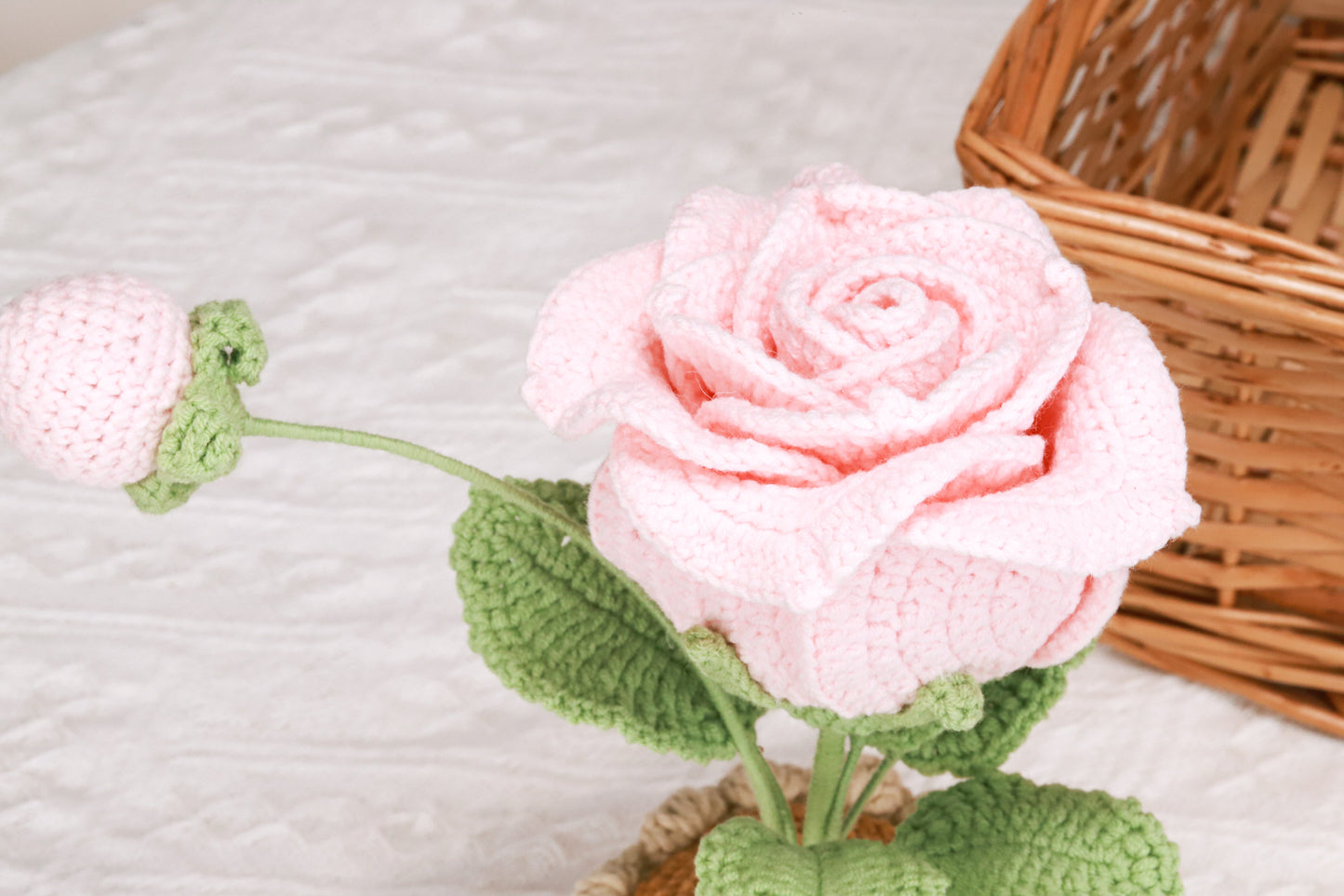 pink Thai rose