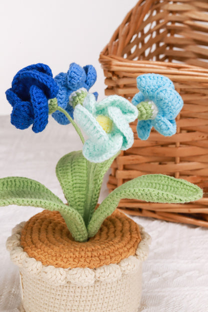 blue primrose