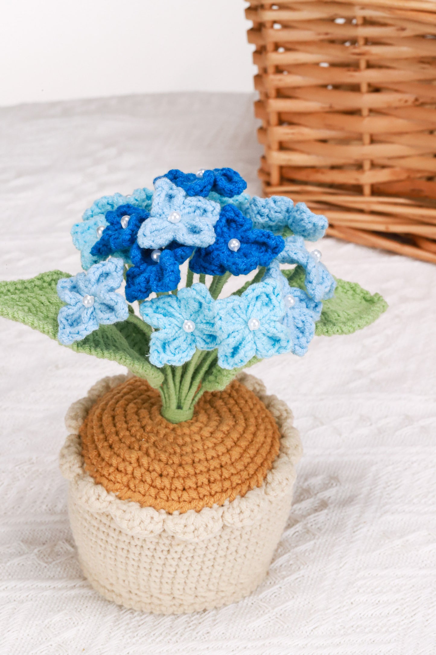 Blue Hydrangea