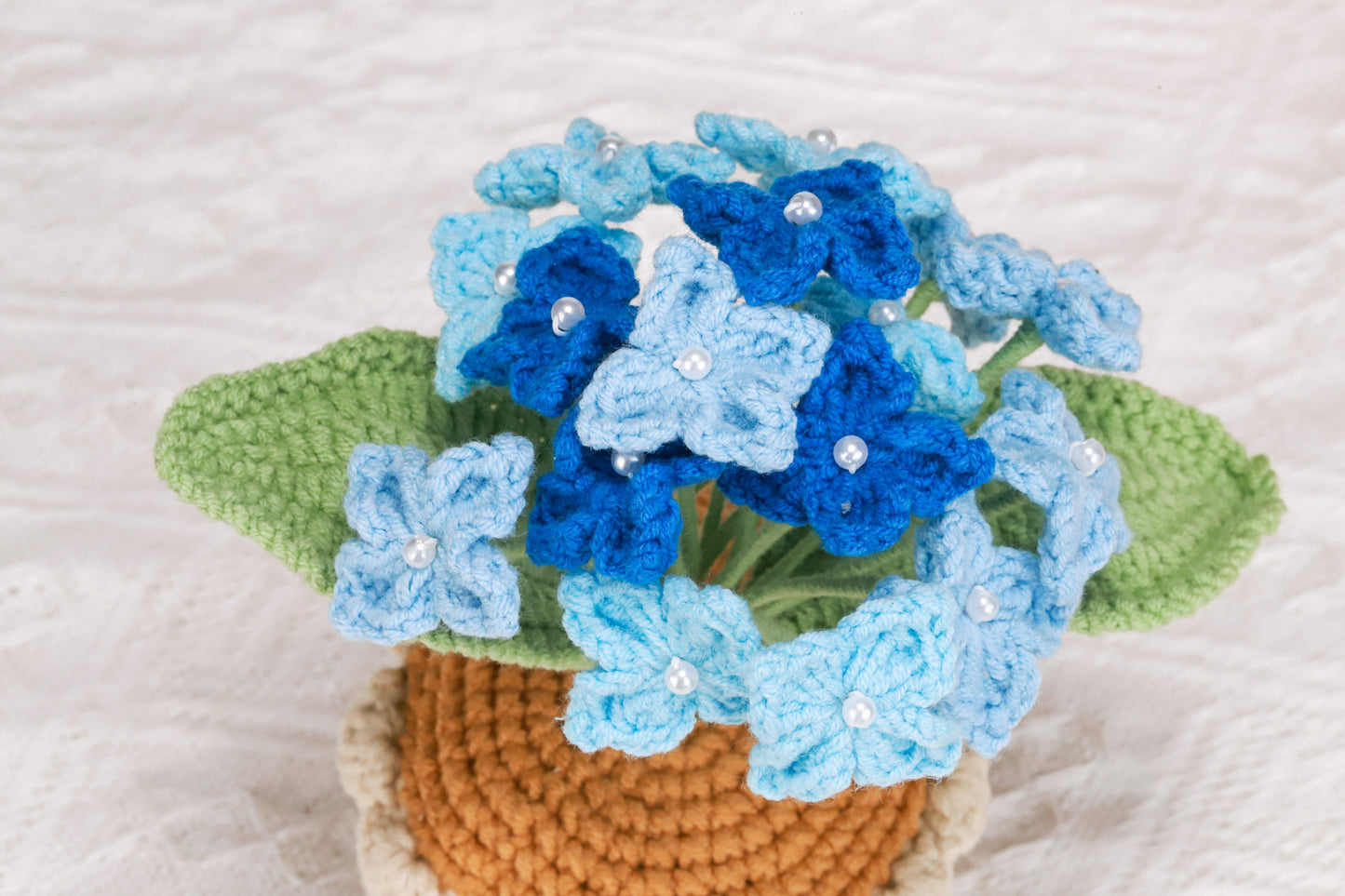 Blue Hydrangea